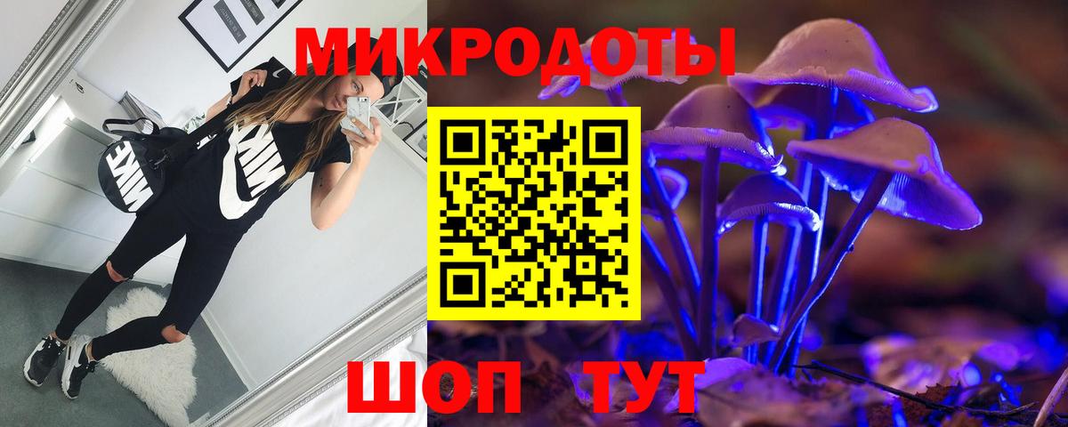 Черногорск  Псилоцибиновые грибы Psilocybine cubensis  Вход с VPN 