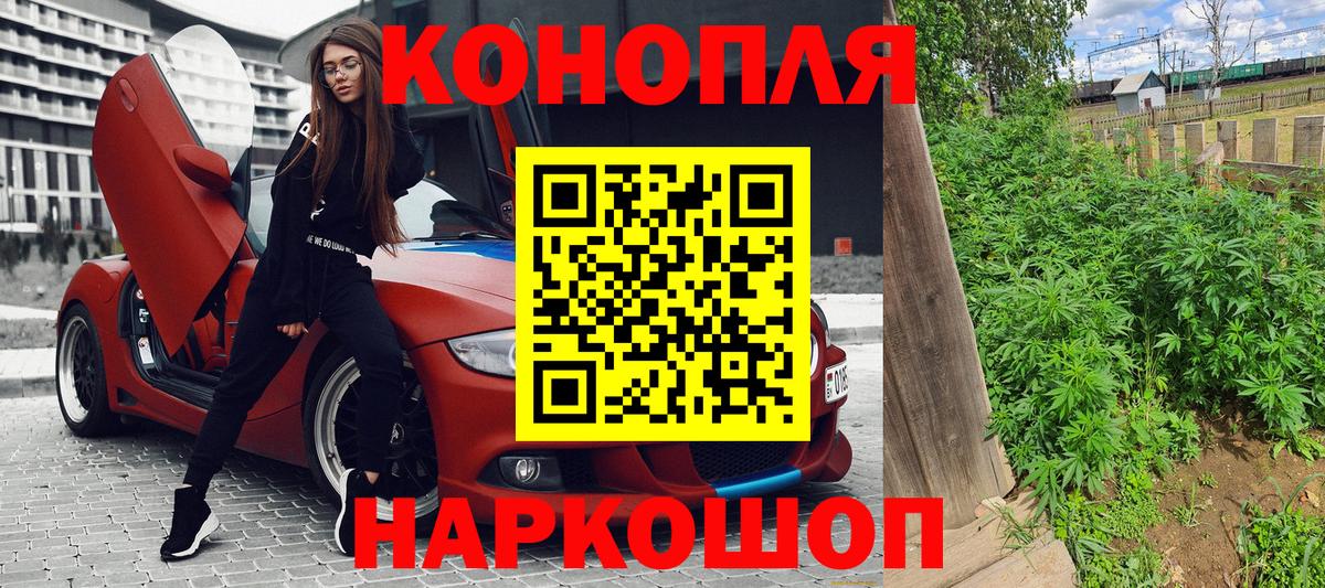 Конопля тримм  Конопля сатива  Вход с VPN  Черногорск  Конопля марихуана 